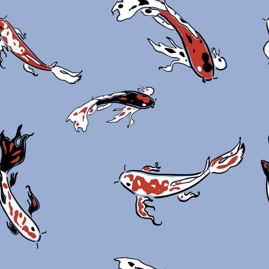 picture of a Koi