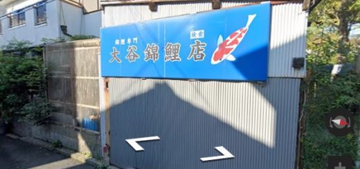 大谷錦鯉店